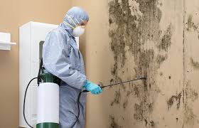 Best Dehumidification Services in Tigard, OR